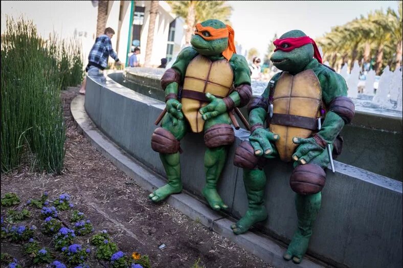 Tmnt neca sdcc 2017. Настоящая черепашка ниндзя. Черепашки ниндзя суть. Донателло черепашки ниндзя 1987. Черепашки-ниндзя.