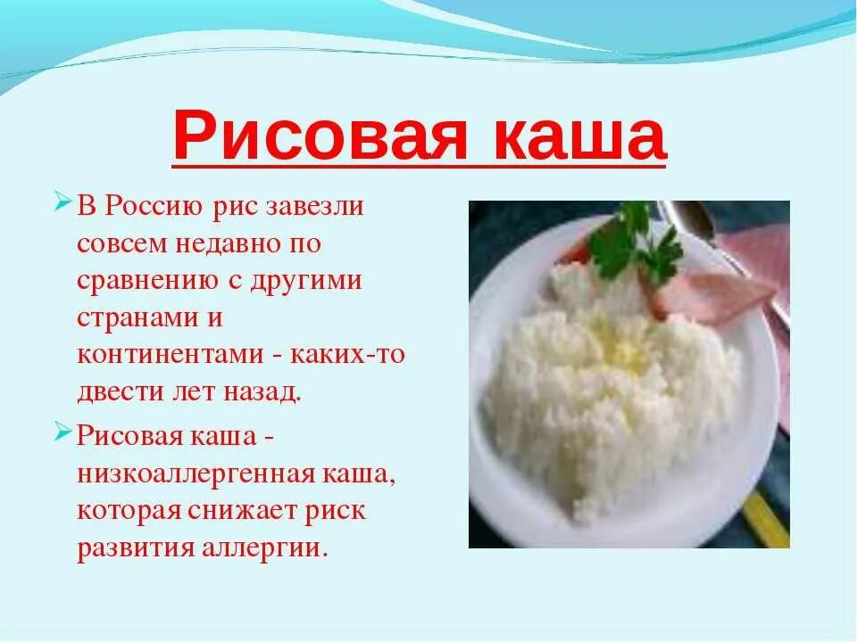 Рисовая каша презентация. Рассказ про рисовую кашу. Сообщение о каше. Приготовление рисовой каши