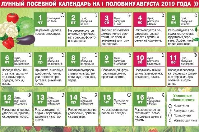 Можно сажать рассаду на убывающей луне