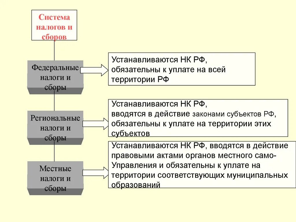 Налоговая система 10 класс. Система налогов. Структура налоговой системы РФ. Схема налогов и сборов в РФ. Система налогов НК РФ.