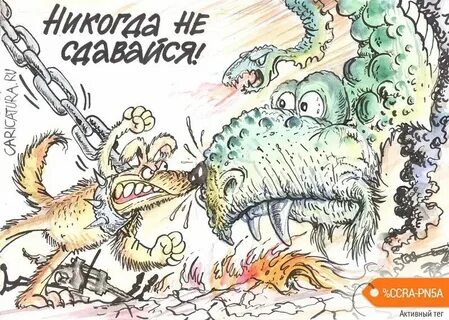 Злободневных тем