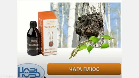 Куртки чага женские