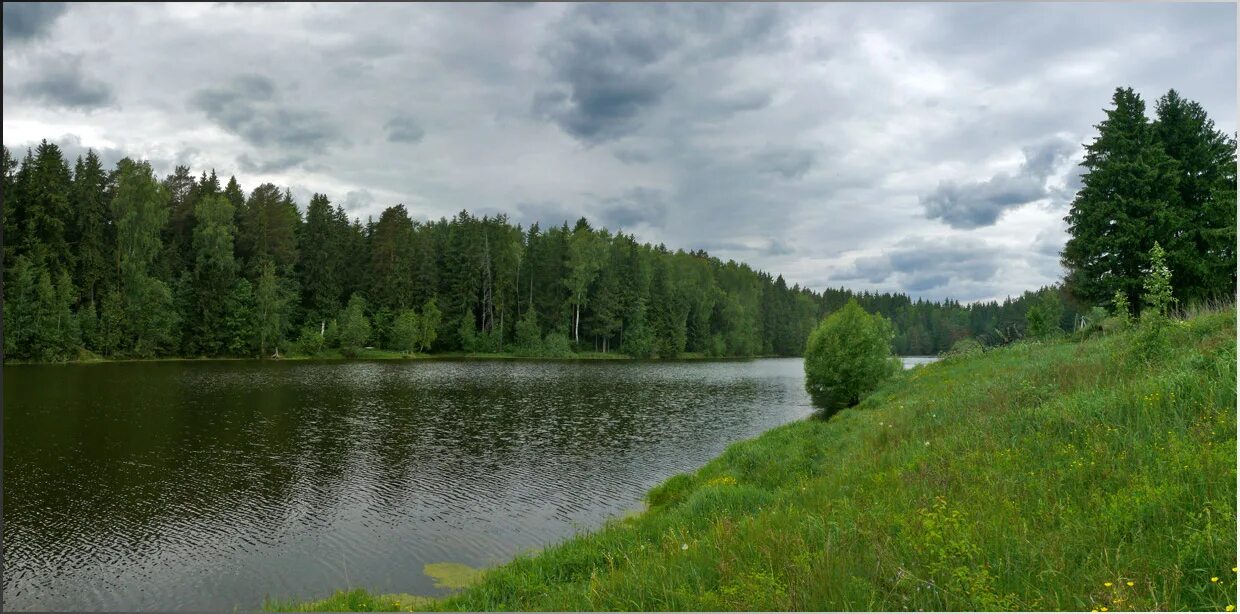 Запруды коломна. Щекутино пруд. Озеро в Щекутино. Деревня Щекутино Наро Фоминский. Озеро деревня Щекутино.