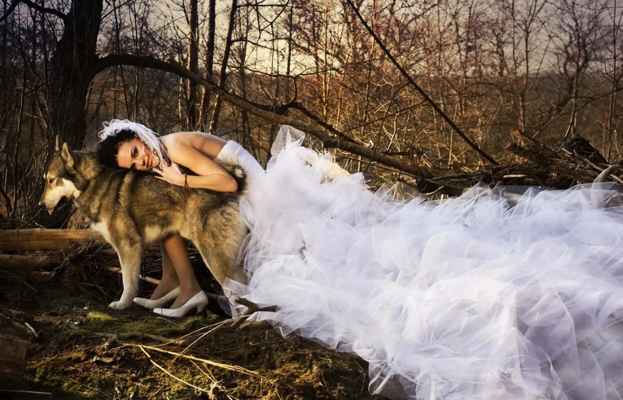 болот и звезд цыганских свадеб волчьих