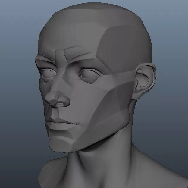 Planar head 2d модель. Профиль 3д референс. Голова человека референс 3д. Референс анатомия головы портрет. Референс головы человека