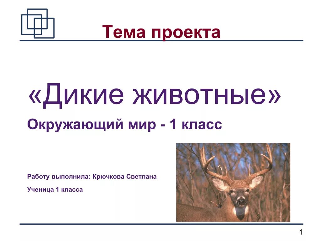 Проект про 1 животного. Проект на тему животных. Проект на тему дикое животное. Дикие животные презентация 1 класс. Животные 1 класс окружающий мир презентация.