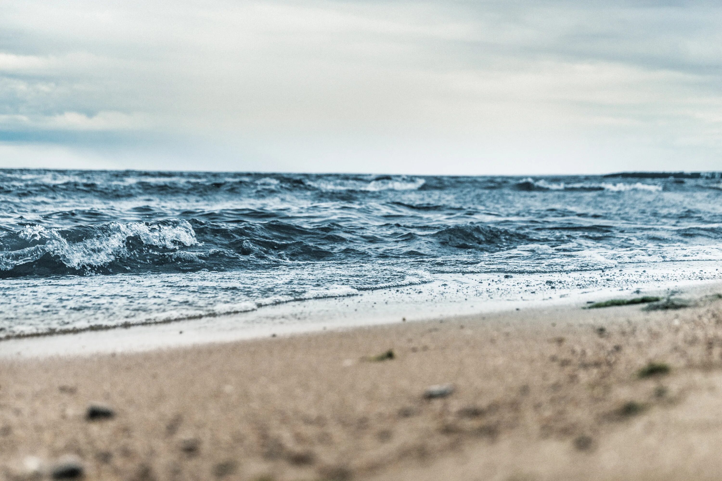 Море лоб. Берег моря. Фотографии моря. Морское побережье. Океан.