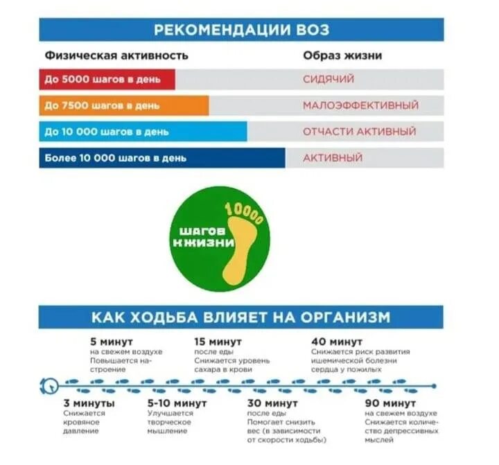 Воз знаний. Воз знаний. Здоровый образ жизни определение воз. Воз знаний. Воз.