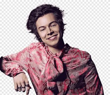 Harry styles sugar