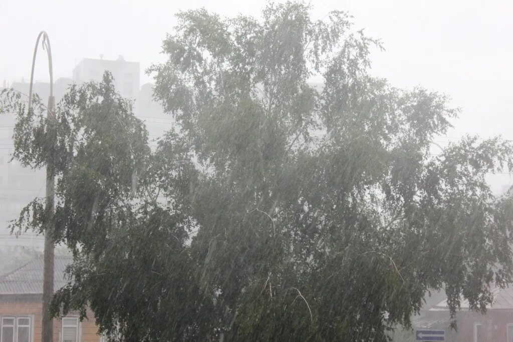 Дождь в Белгородской области. Сильный ветер Белгородская область. Порывы ветра. Ливень и ветер. Порывы ветра 11 м с