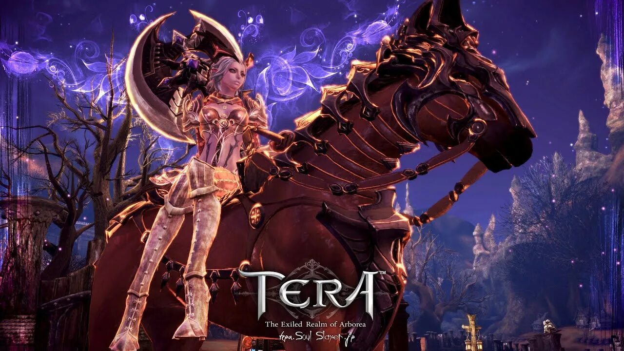 Тера. Тера ммо. Тера мморпг игра. Тера. Тера книга.