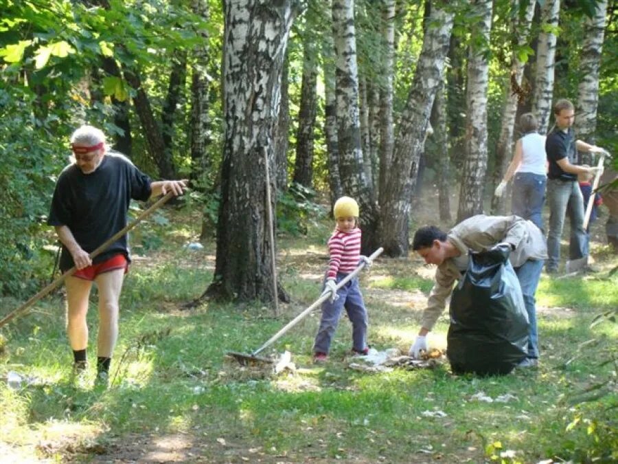 Уборка снега в приюте. Человеческое равнодушие. Демотиваторы соревнования. Субботник в лесу. Субботник в лесу.