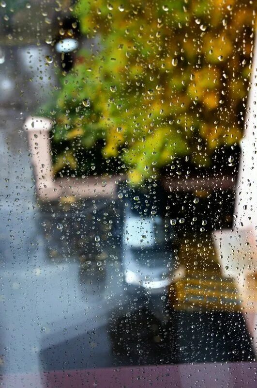 Дождливый дневник. Дождик на дворе. Дождь во дворе. Дождь во дворе фото красивые. Картинки где идет дождь и во дворе ночь.