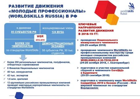 Проведение чемпионата профессионалы