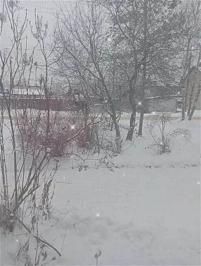 14 шарья. 14 шарья