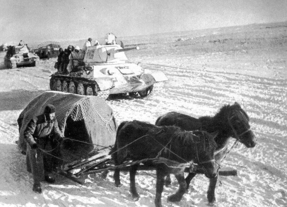 Лошади в ВОВ 1941-1945 гг. Ветеринарная служба в РККА В годы ВОВ. Гужевой транспорт РККА В ВОВ 1941-1945 гг.