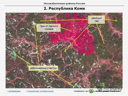 Средняя лесистость республики коми