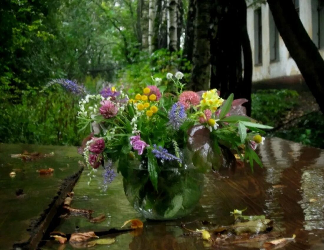 Название после дождя. Сад после дождя. Цветы в саду после дождя. Дождь на даче. Дождливое лето в саду.