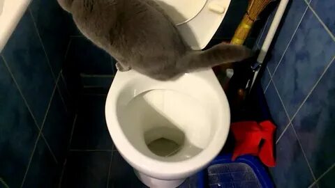 Какает ив