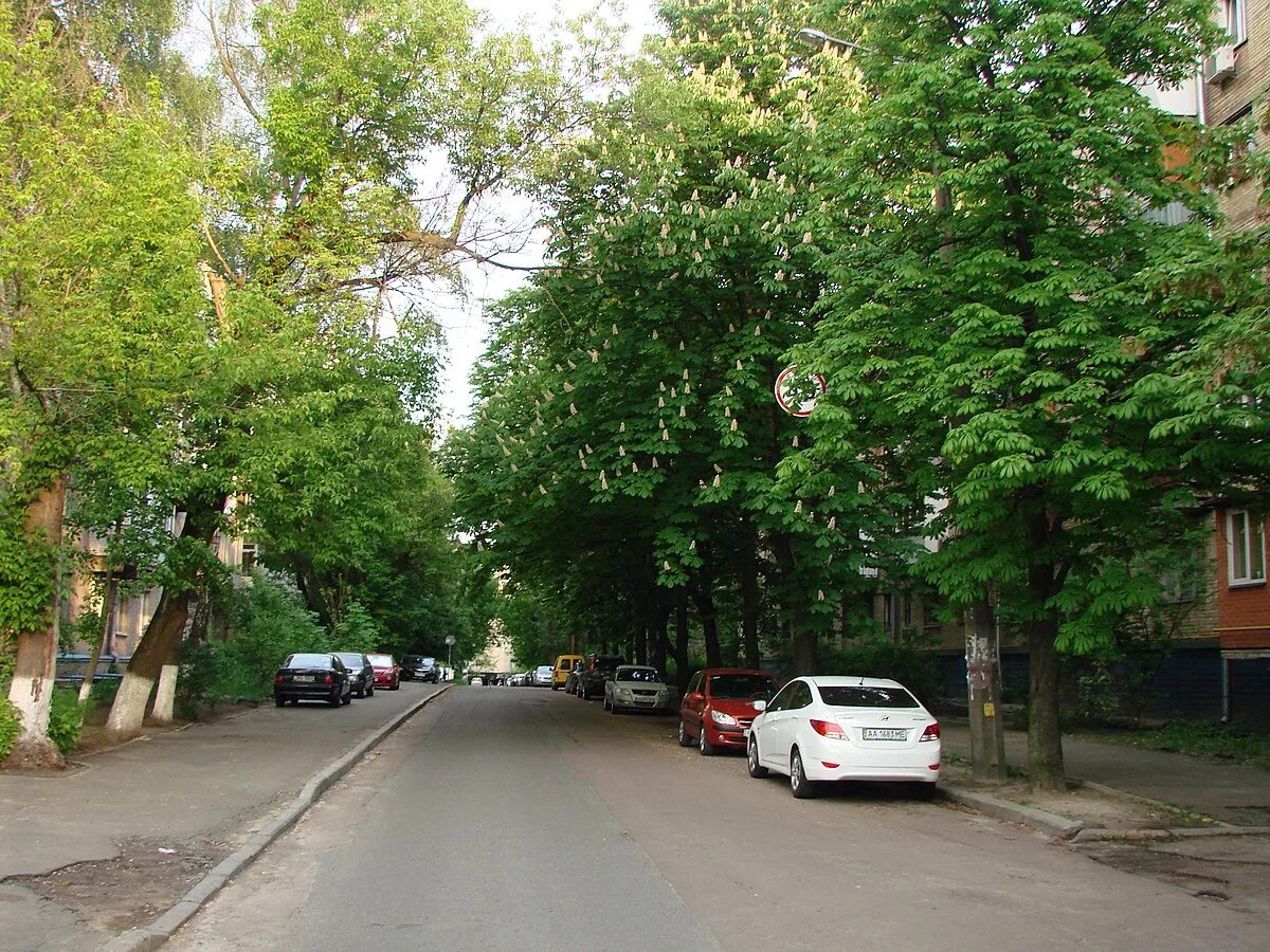 Вулиця максима кривоноса дом. Вулиця максима кривоноса дом. Кривоноса 10 ростов-на-дону. Ростов на дону кривоноса 13. Ул кривоноса.