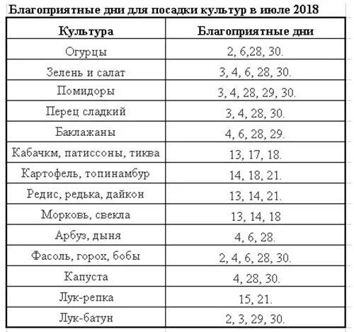 Благоприятные дни для посадки свеклы. Благоприятные дни для посадки моркови.