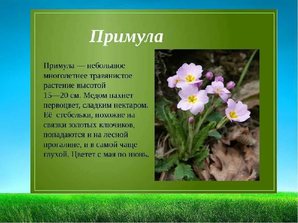 Сообщение на 1 раз