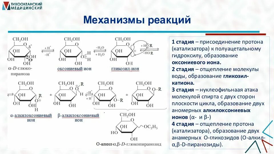 Полисахариды химические свойства. Гидролиз полисахаридов реакция. Полисахариды реакции. Моно олиго и полисахариды. Химические свойства полисахаридов реакции.