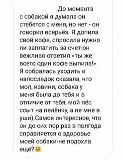 Смешные нелепые истории
