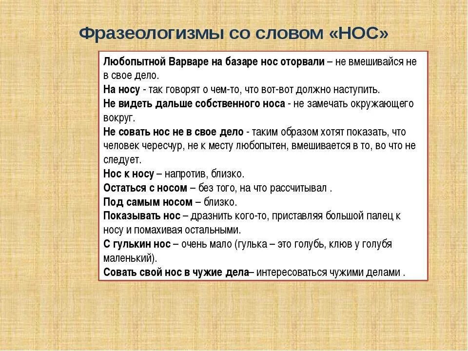 Предложения со фразеологизмы. Слова фразеологизмы. Фразеологизмы со словом. Фразеологизмы со словом нос. Составить фразеологизмы со словом.