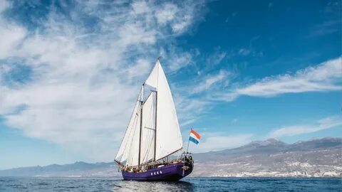 Sail back to