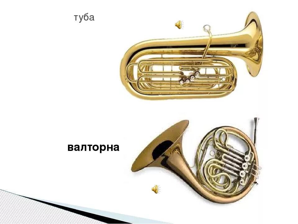 инструменты симфонического оркестра туба. медные духовые инструменты симфонического оркестра названия. труба тромбон валторна туба. туба инструмент оркестр. медная группа симф.
