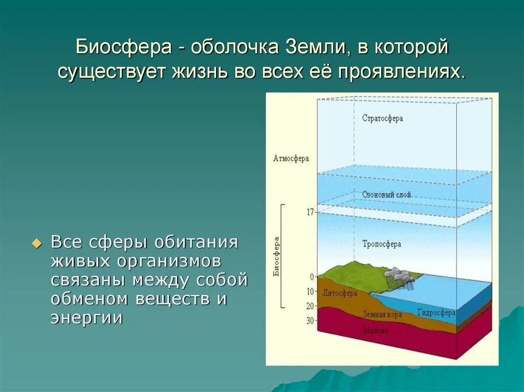 География 6 класс биосфера земная оболочка презентация. Биосфера земная оболочка земли. Биосфера географическая оболочка. Биосфера в географических оболочках земли. Биосфера земная оболочка.