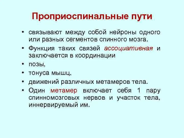 Слова связанные с дорогой. Проприоспинальные. Проприоспинальные проводящие пути. Пропиноспинальный путь. Проприоспинальные Нейроны.