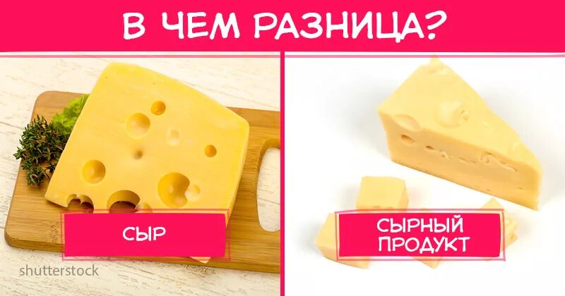 Как отличить сырое. Разница сыра и сырного продукта. Продукты сыр. Отличие сыра от сырного продукта. Сыр и сыр продукт.