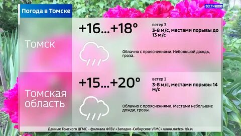 Погода в прохладном на 2 дня
