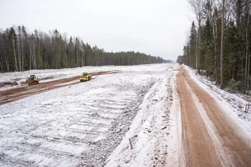 Новгородская область трасса. М 11 В Новгородской области. Трасса на Чечулино Новгородская область. Переселении диких животных при строительстве автомобильных дорог. Ханты Мансийскдорстрой 950 где сейчас работают.