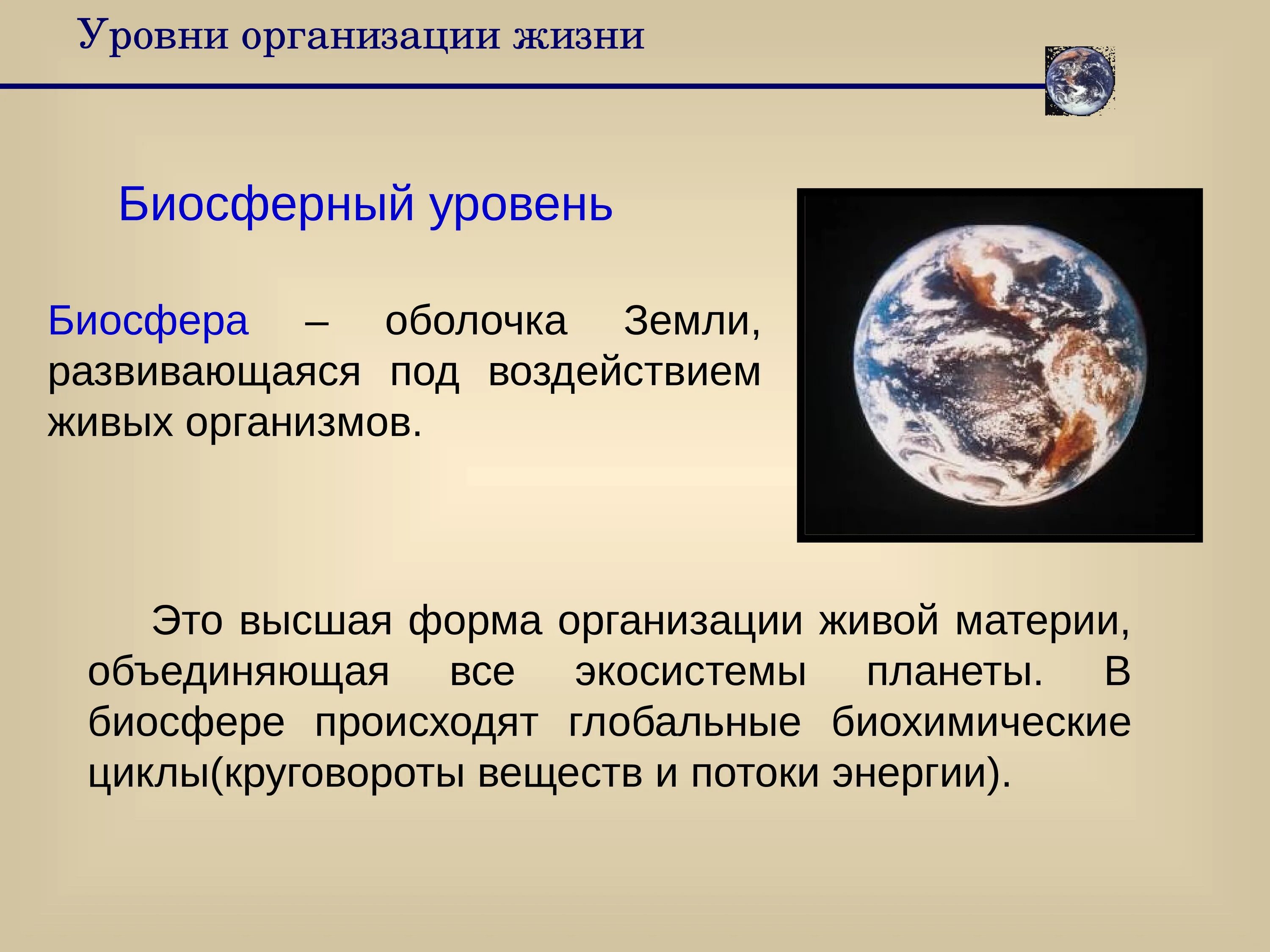 Биосферный уровень организации жизни. Уровни организации жизни. Биосферный уровень жизни. Уровни организации жизни на земле.