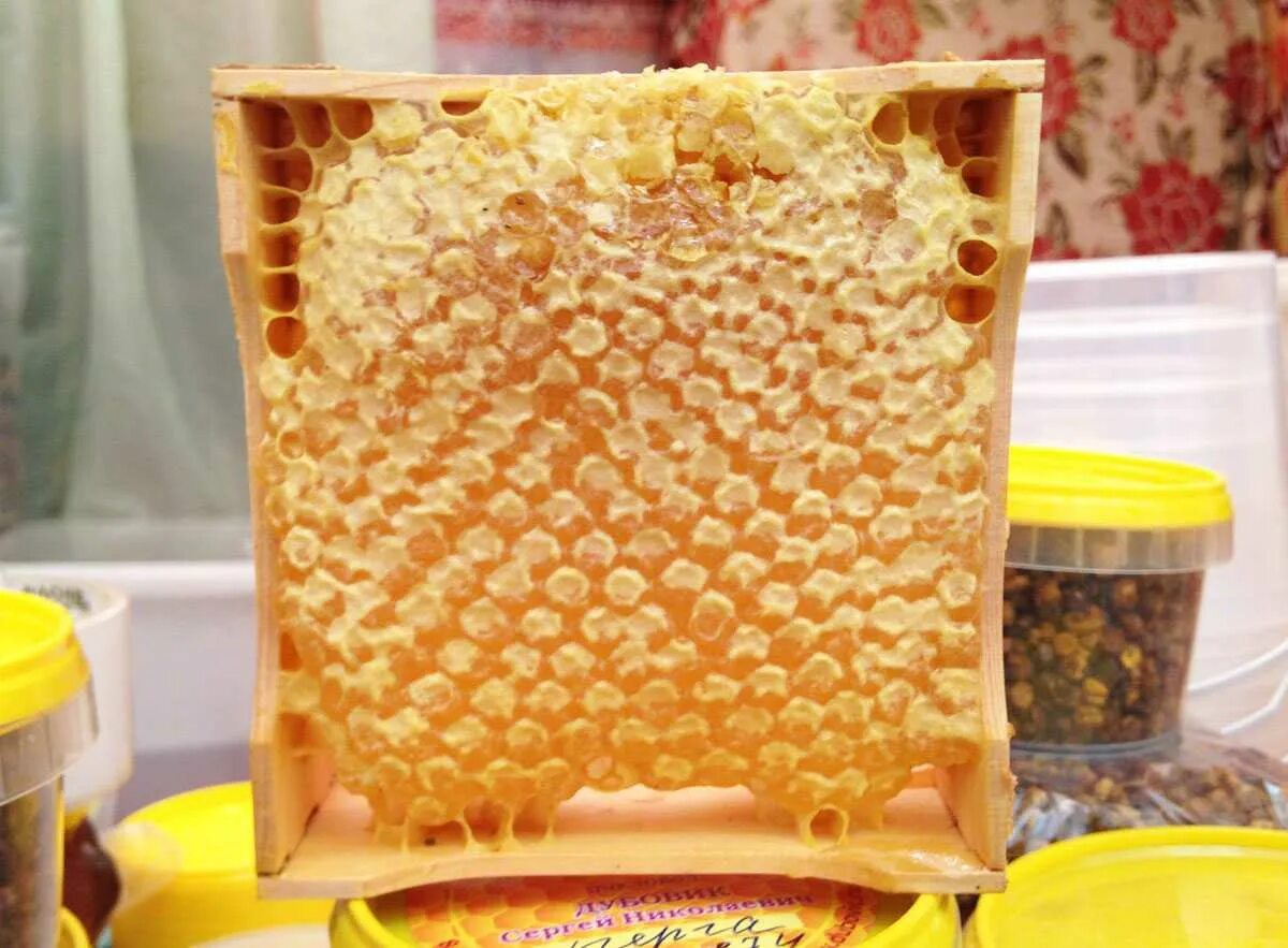 Мёд в сотах. Медовые соты. Соты меда. Пчелиные соты с медом.
