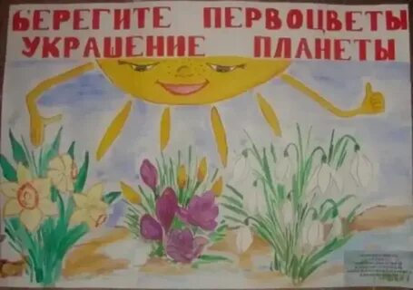 Рисунок на тему сохраним первоцветы