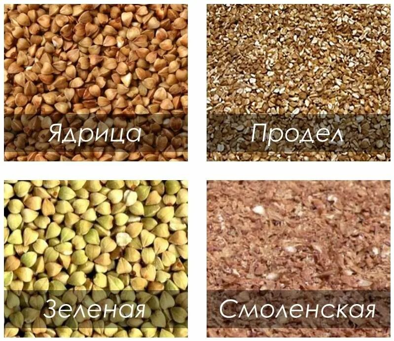 Сколько хранить гречку