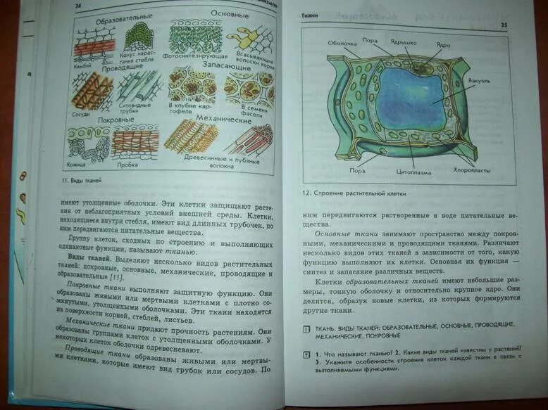 Содержание учебника биологии 6 класс пасечник. Учебник биологии 5 класс 2000. Рисунок животной клетки 6 класс биология Пасечник. Биология 9 класс учебник Пасечник класс клетка животного.