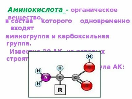 1 общая формула аминокислот