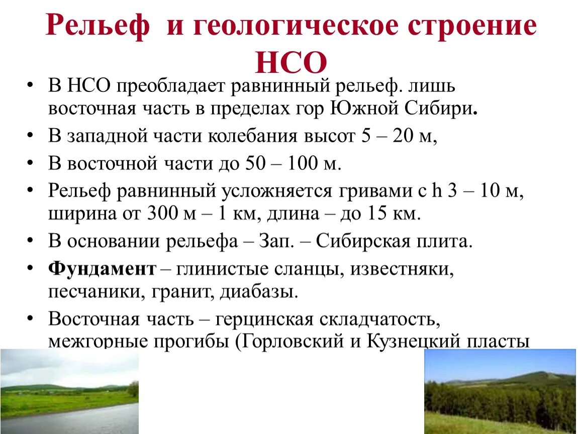 Назовите особенности геологического строения и рельефа. Формы рельефа Новосибирской области. Крупные формы рельефа НСО. Рельеф Новосибирской области кратко. Крупная форма рельефа Новосибирской области.