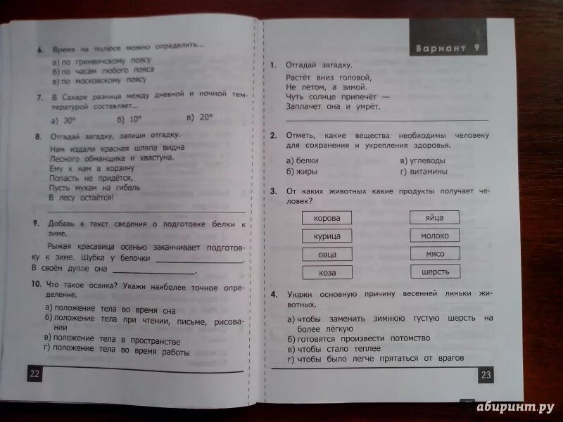 Задания по олимпиаде окружающий мир 1 класс. Задания по окружающему миру 3 класс на Олимпиаду.