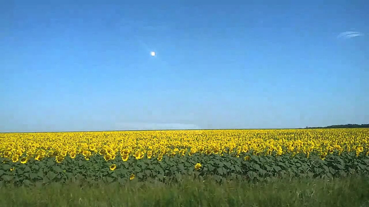 Просторами україни. Просторами україни. Видео. Украинские просторы. Просторы украины.