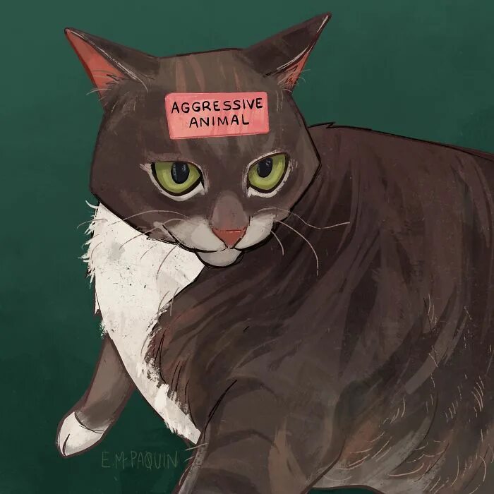 Animan meme. Мем агрессив Энимал. Агрессив Кэт. Aggressive Мем. Aggressive Cat meme.