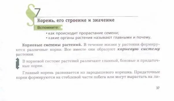 Биология 6 класс краткий пересказ параграфа 18. Краткий пересказ корень его строение и значение. Краткий пересказ корень его строение. Краткий пересказ параграфа 7 "корень, его строение и значение. Краткий пересказ параграфа корень его строение и значение.