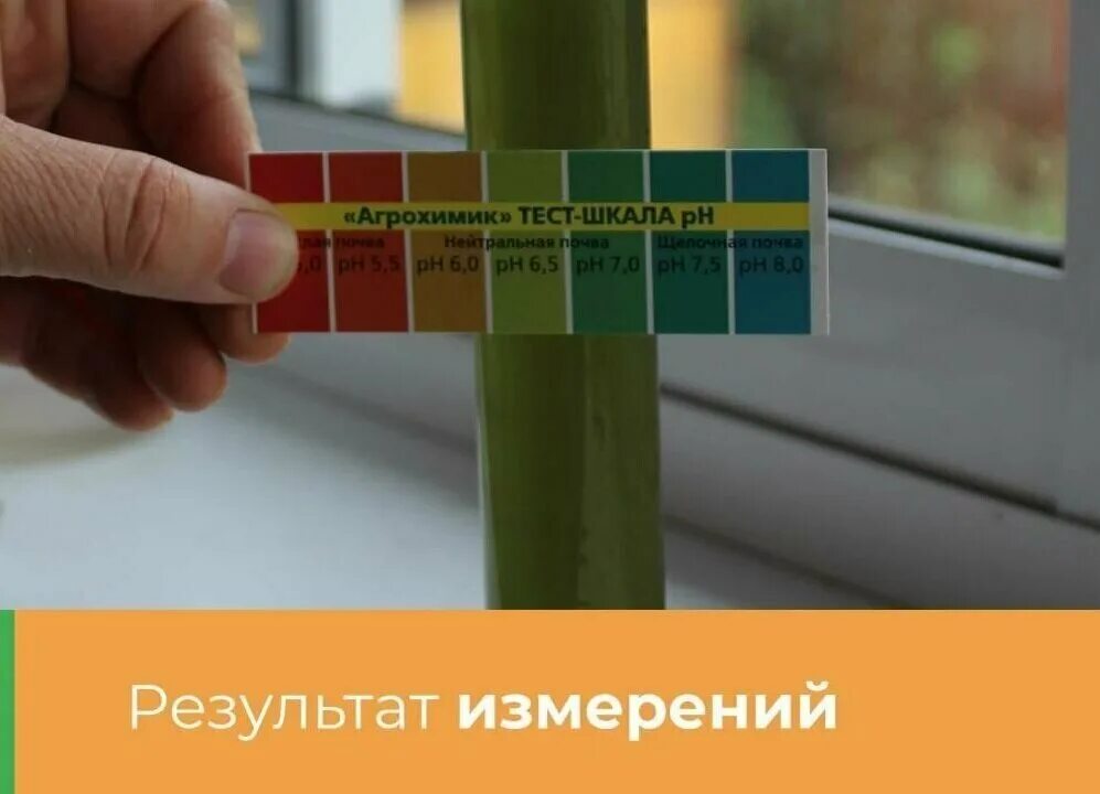 Набор определение ph почвы. Soil moisture почвы. Индикаторы для определения кислотности почвы. 2-0. Какие почвы имеют кислую реакцию.