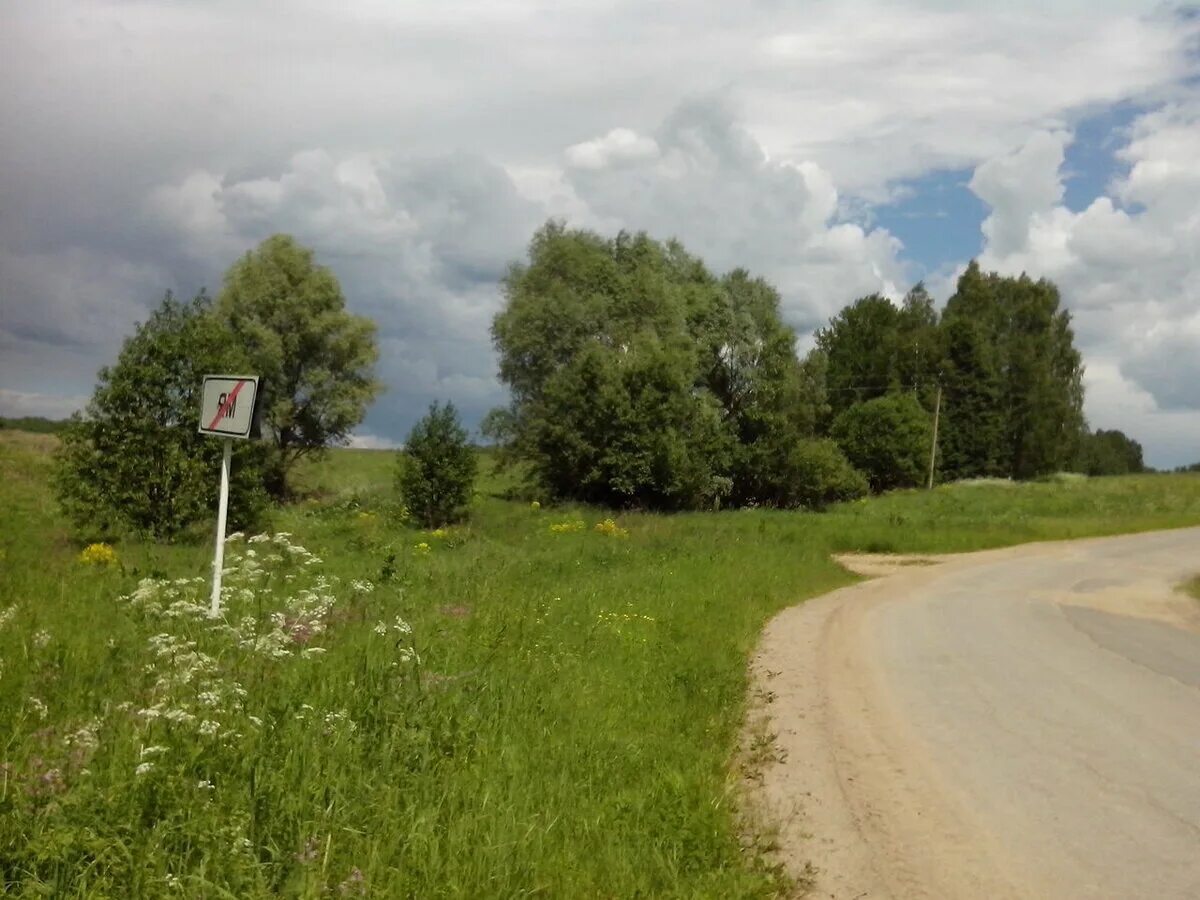 Погода высокиничи. Таруса дорога роща. Чаусово Калужская область. Высокиничи Калужская область. Лопатино Таруса.