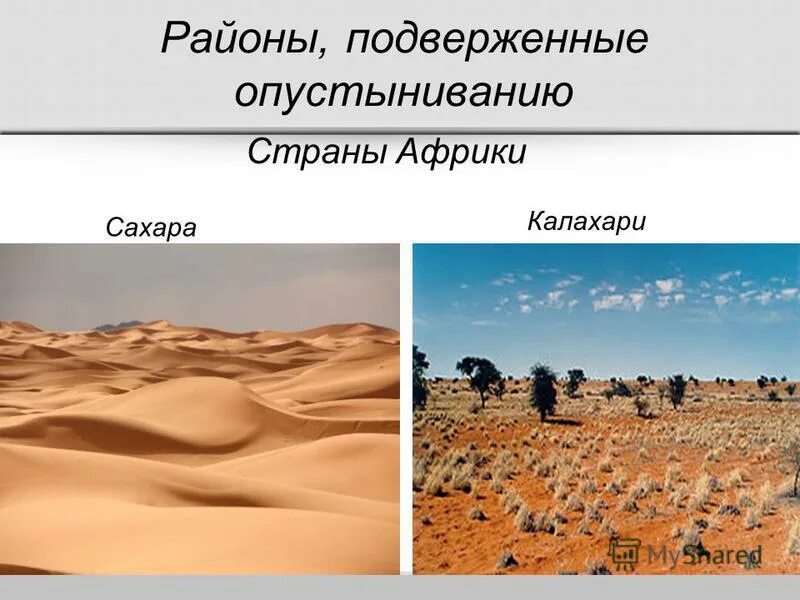 Опустынивание стран африки. Сахель саванна. Почвы африканских саванн. Сахель пхуль. Сахель африка.